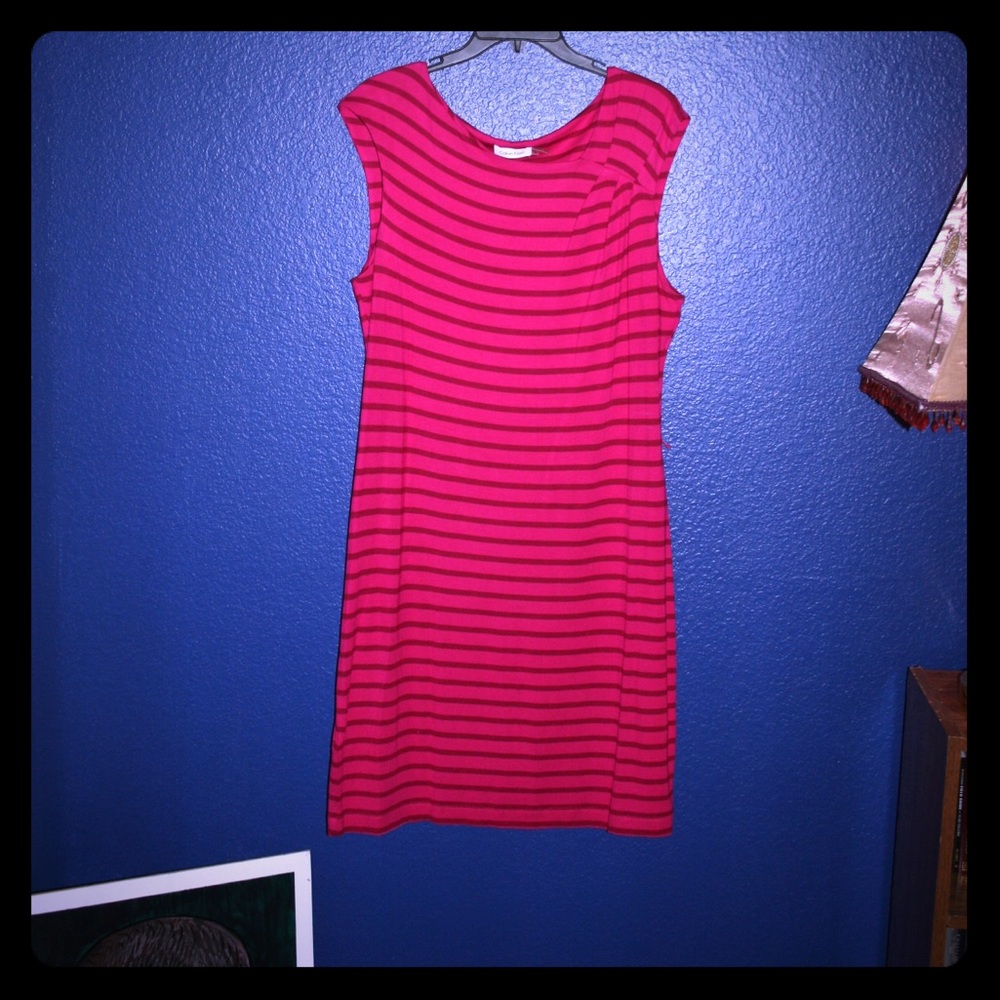 BOGO Calvin Klein Oink Strip Dress